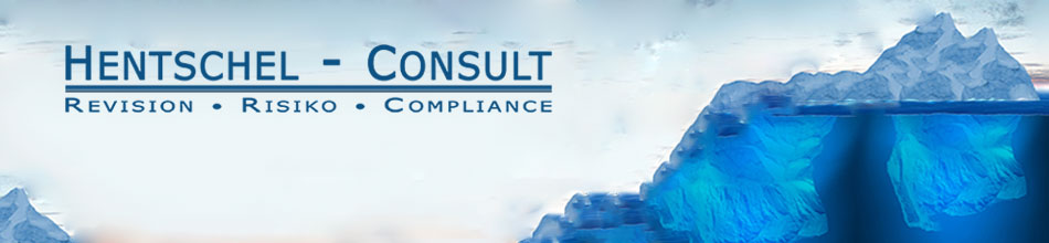 Leistung Risikomanagement und IKS Hentschel Consulting Karlsruhe - Risikomanagement, Revision, Compliance, Governance